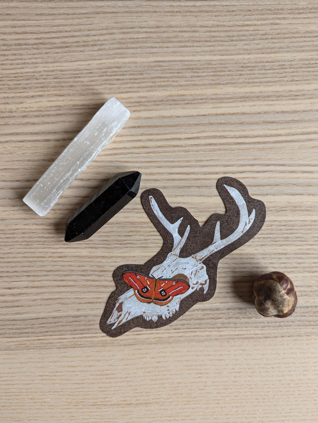 Skull and Moth sticker